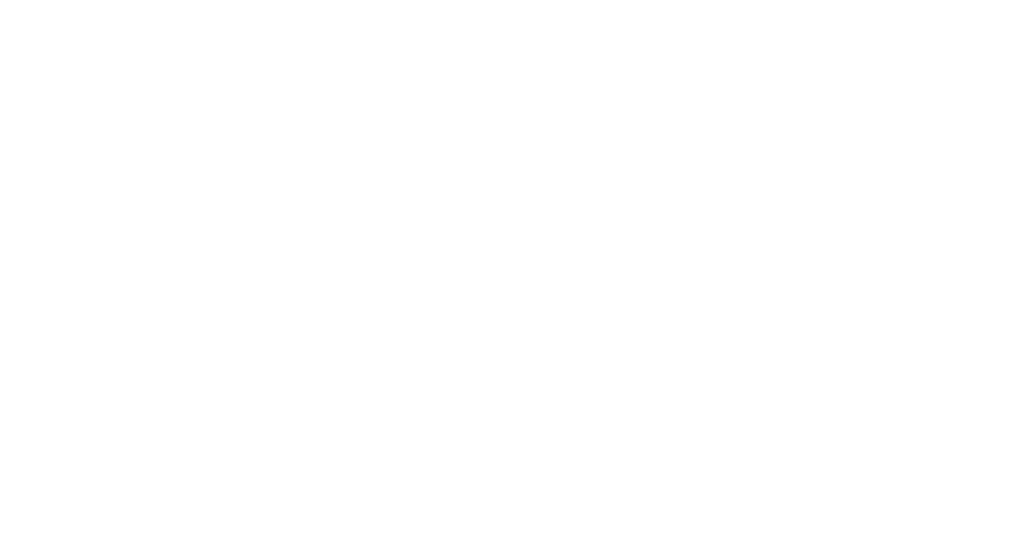 Code Fuhrer logo